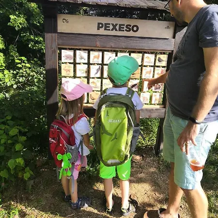 Penzion Statek Vletice
