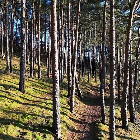 Penzion Statek Vletice